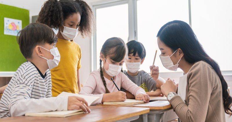 Shutterstock/paulaphoto