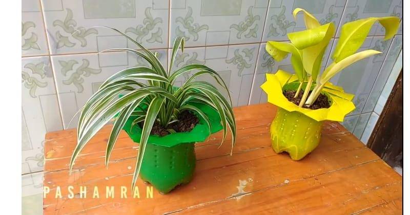 Youtube.com/Pashamran