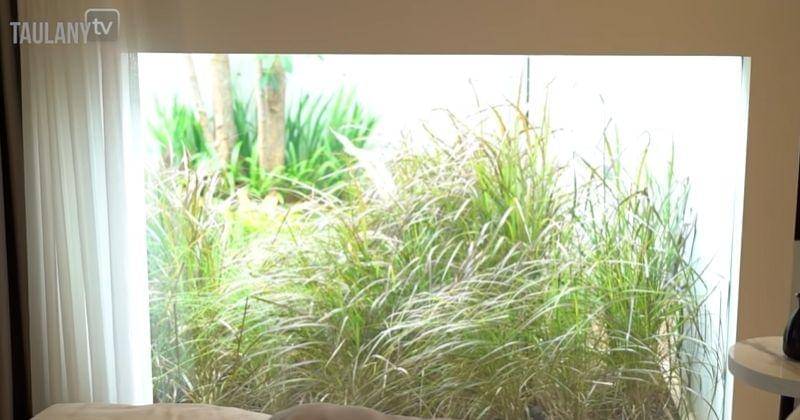 Youtube.com/TAULANY TV