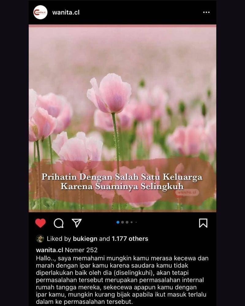 Instagram.com/wanita.cl