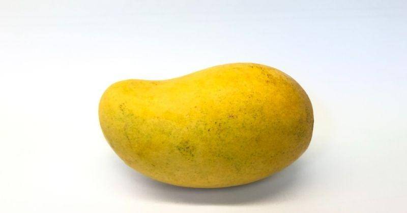 unsplash.com/@bombaybecky2019