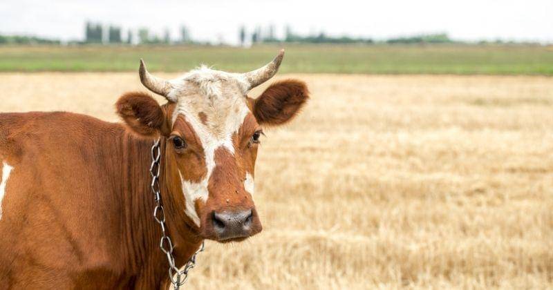 freepik.com/pvproductions