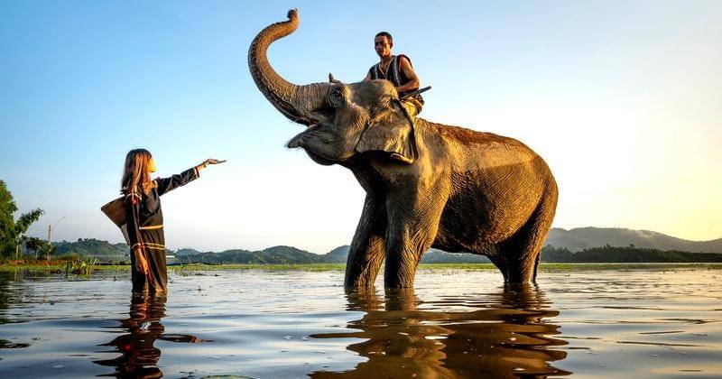 Pexels/quangnguyenvinh