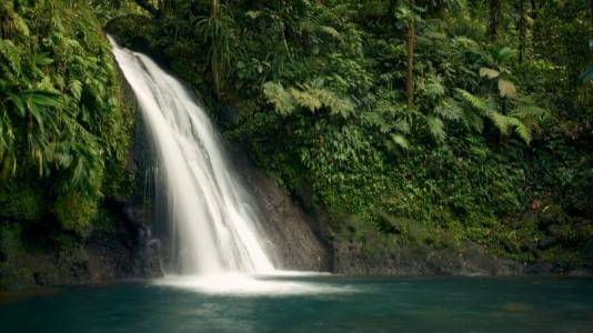 Freepik/greggalas971