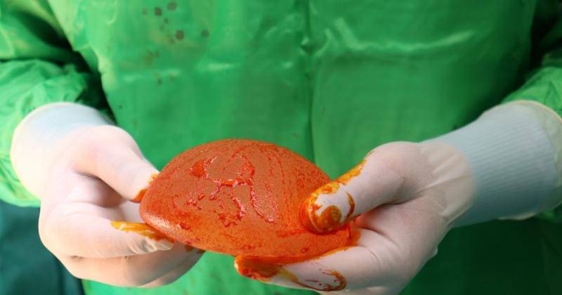 Pexels/Izzet Cakalli