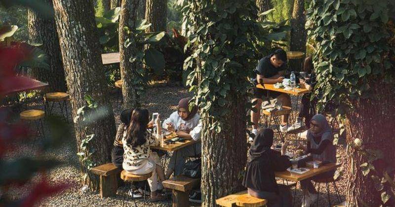 Instagram.com/aranya.id