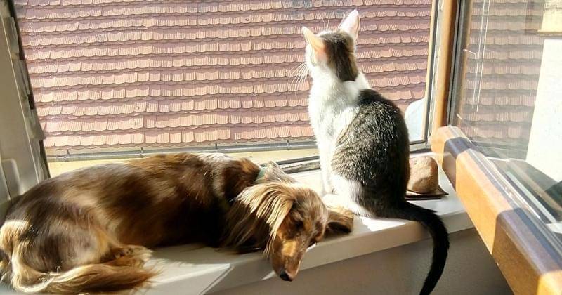 Pexels/Tomáš Jíra