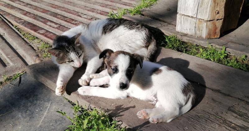 Pexels/Yuliya Kazantseva