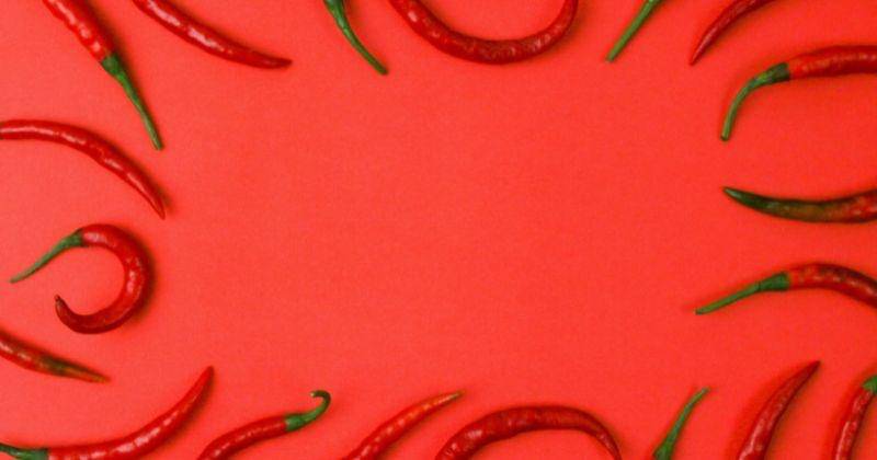 unsplash.com/@tamanna_rumee