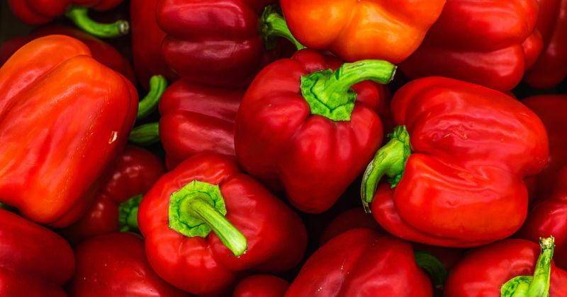 unsplash.com/@little_klein