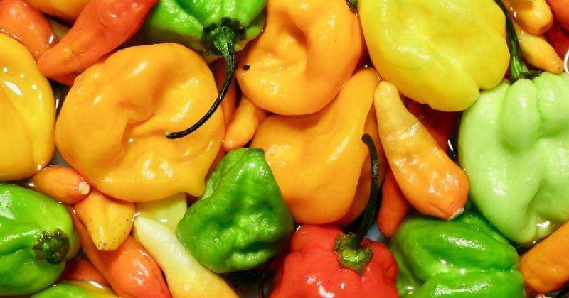 unsplash.com/@bekkybekks