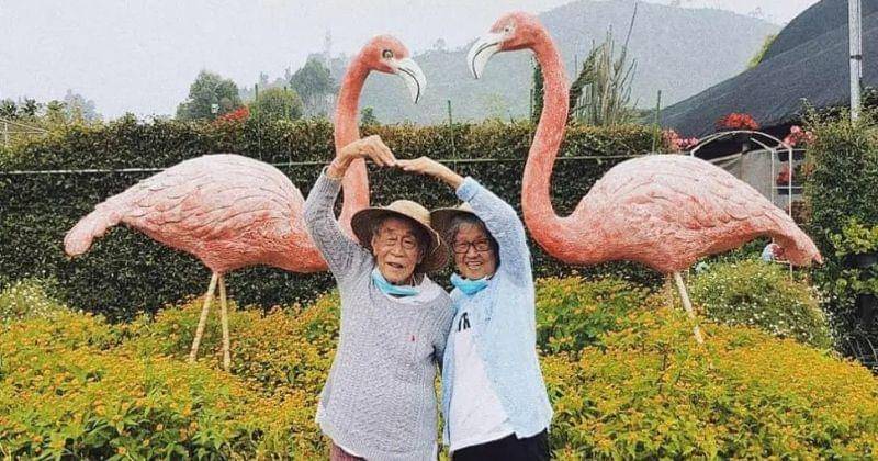 Instagram.com/opaomabagio