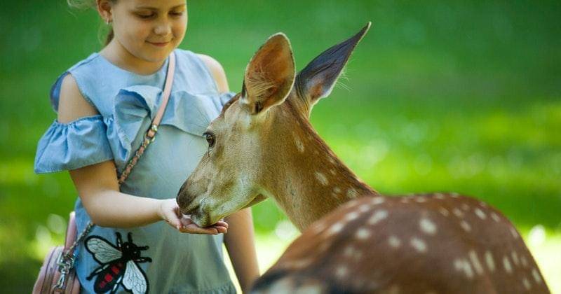 Pexels/oleksandrpidvalnyi