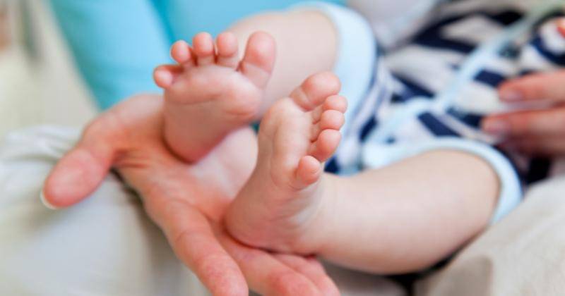 Pexels/Mikhail Maslov