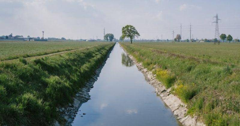 Pexels/Matteo Badini