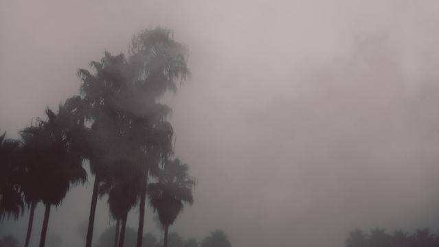 Pexels/ryan-millier-1693965