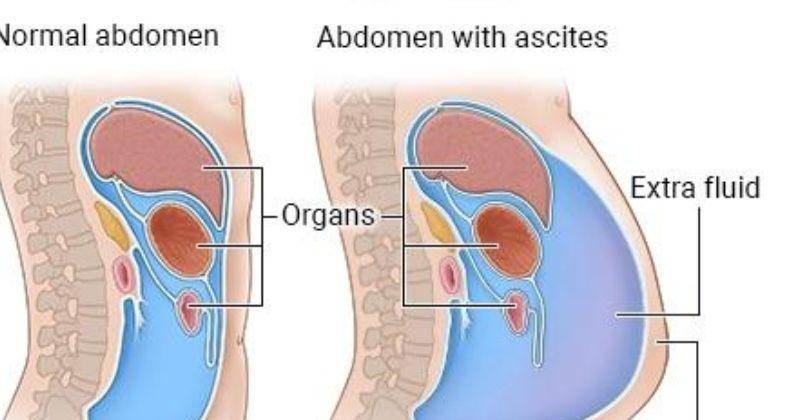 medicalrecords.com