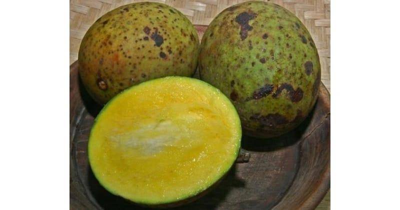 Pinterest/khasiatsehat