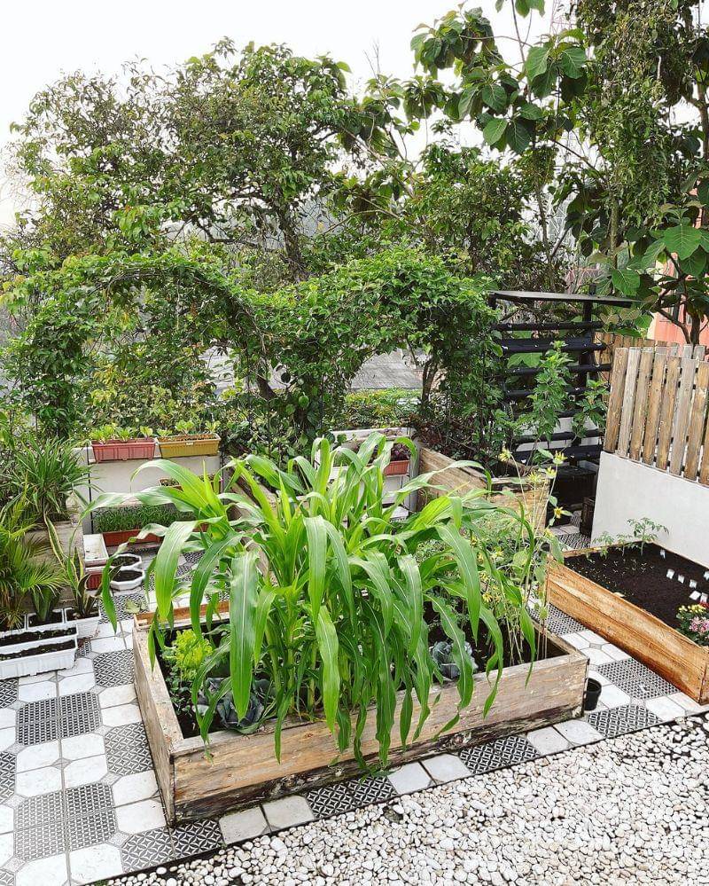 Instagram.com/eriskanakesya