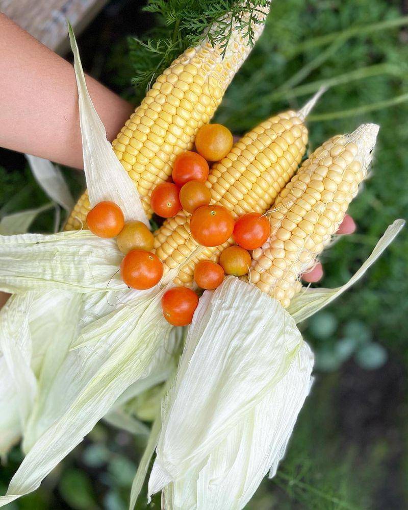 Instagram.com/eriskanakesya