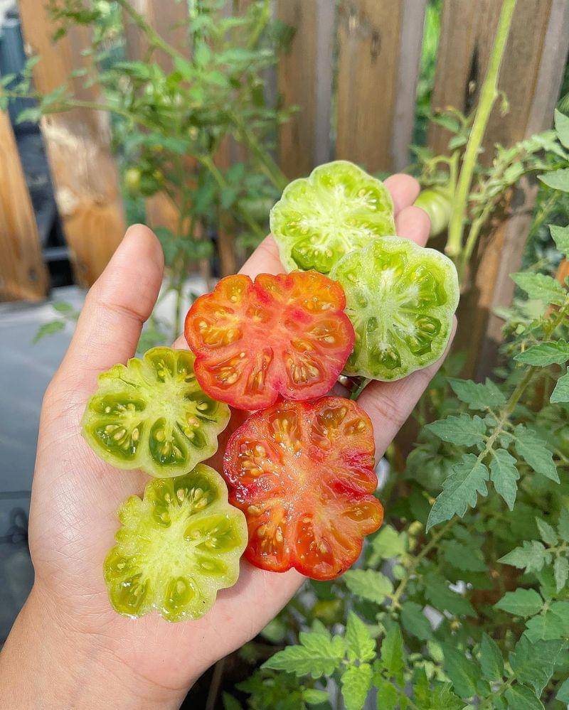 Instagram.com/eriskanakesya