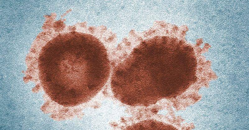 pexels.com/cdc-library/