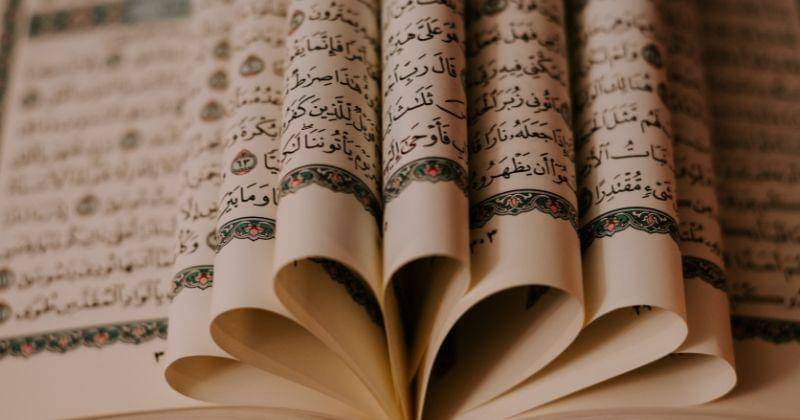 unsplash.com/ashkfor121