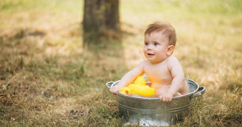 Freepik.com/pch.vector