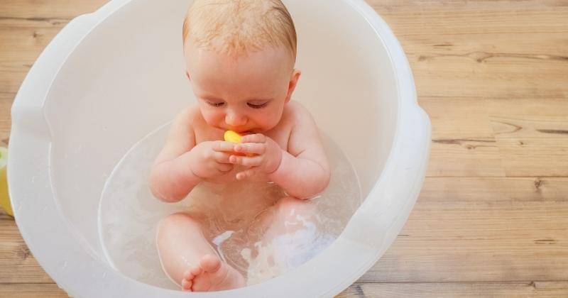 Freepik.com/senivpetro