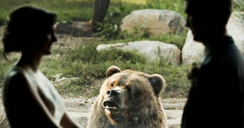 old.reddit.com/DrBaumli