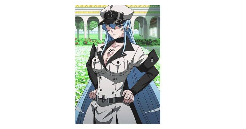 Akame Ga Kill Fandom/Esdeath