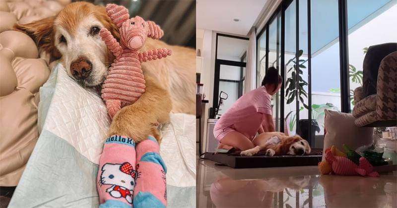 Instagram.com/almo_andrealovebimo