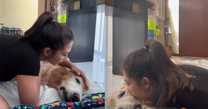 Instagram.com/andreadianbimo