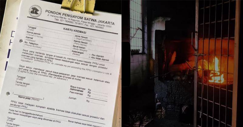 Instagram.com/andreadianbimo