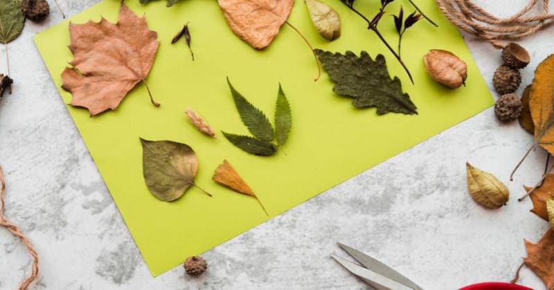 Freepik/Azerbaijan Stok Photo