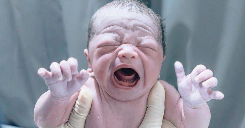 Instagram.com/@corrypamela