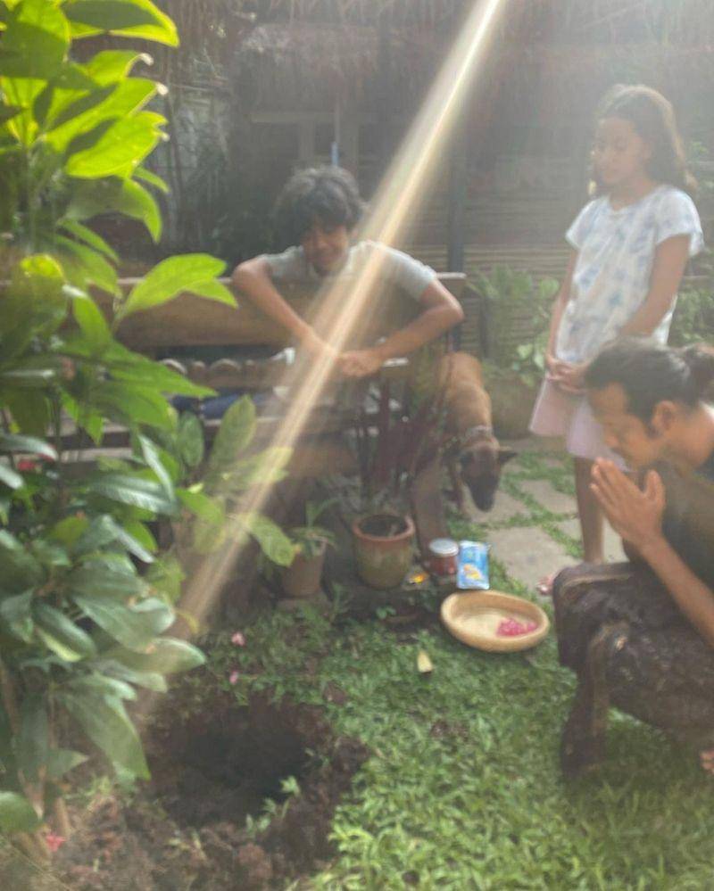 Instagram.com/@widimulia