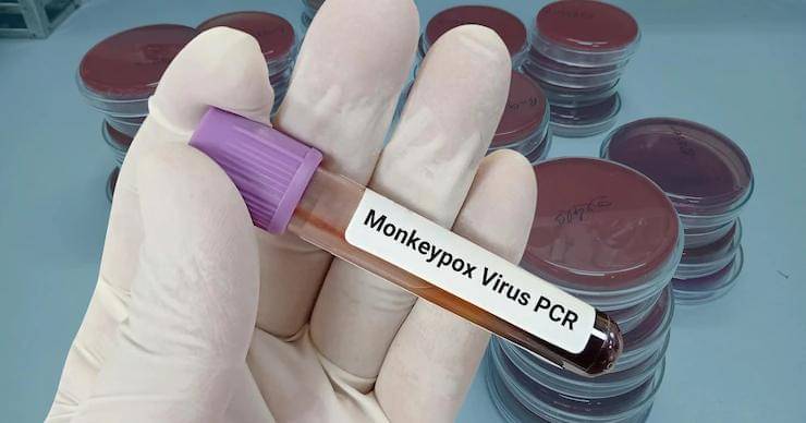 Freepik/user19579769