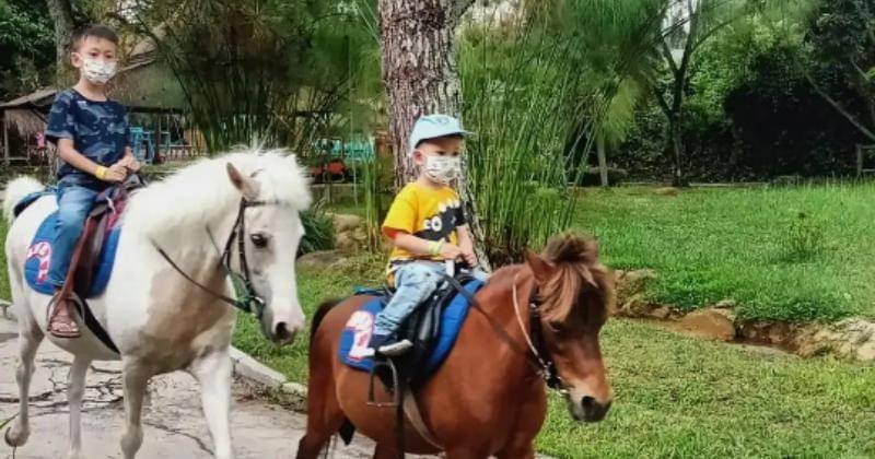 Instagram.com/jendelaalambandung