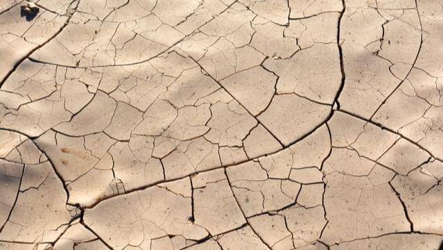 Pexels/carolyn-1539564