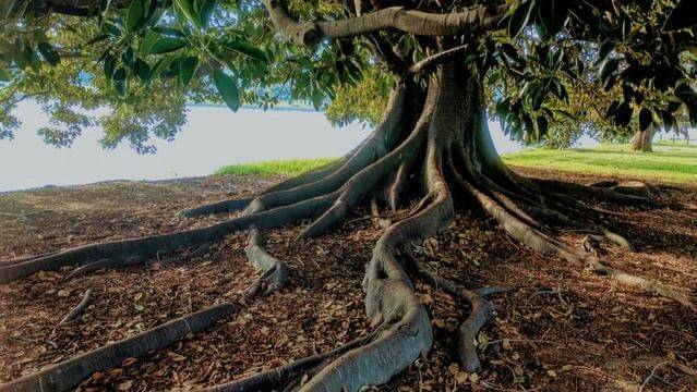 Pexels/daniel-watson-90038