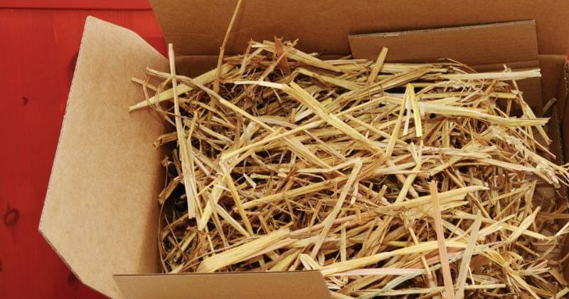 Pxhere/CC0 Area publik