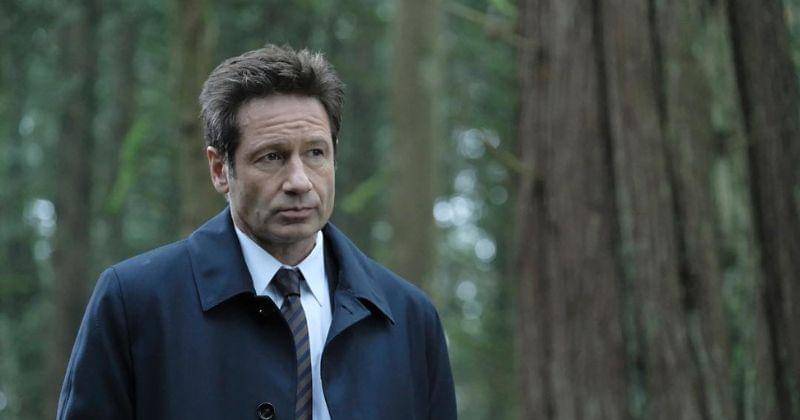 Instagram.com/davidduchovny