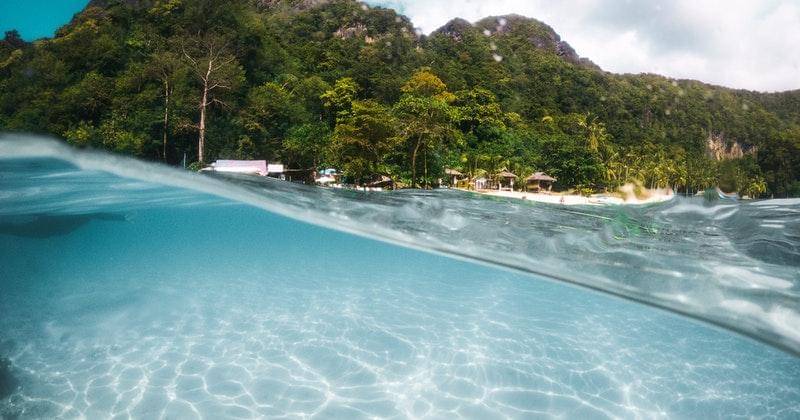 Pexels/stijndijkstra