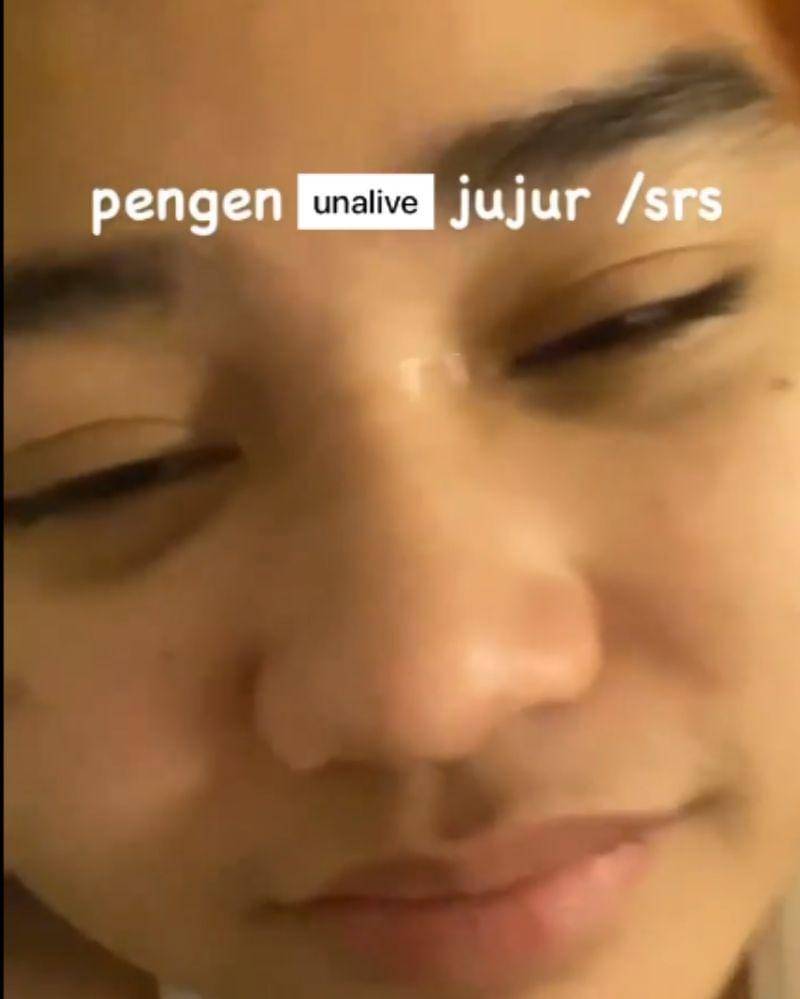 Instagram.com/mimashafa