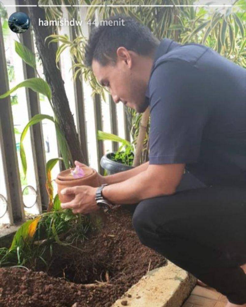 Instagram.com/hamishdw