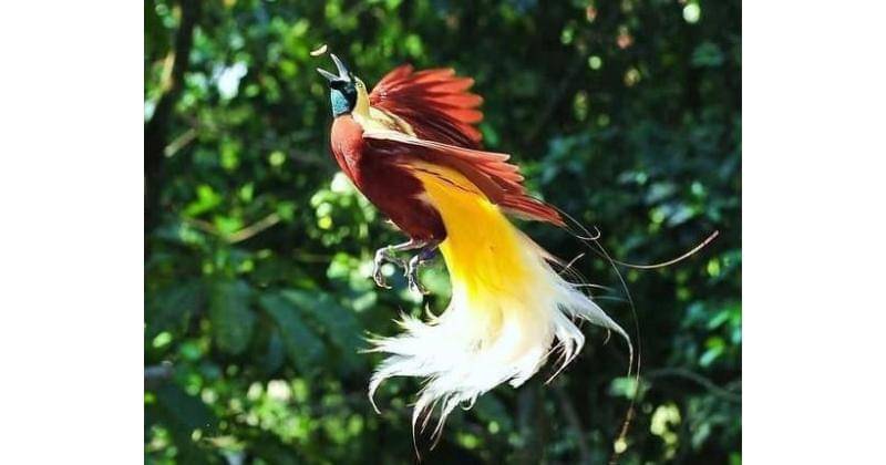 Pinterest.com/Psychologie, Art et Histoire