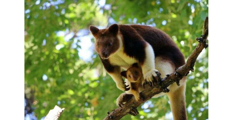 Pinterest.com/Juan De La Cruz Gomes