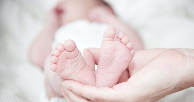 Pexels/Rene Asmussen