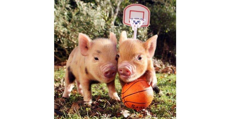 Pinterest.com/people